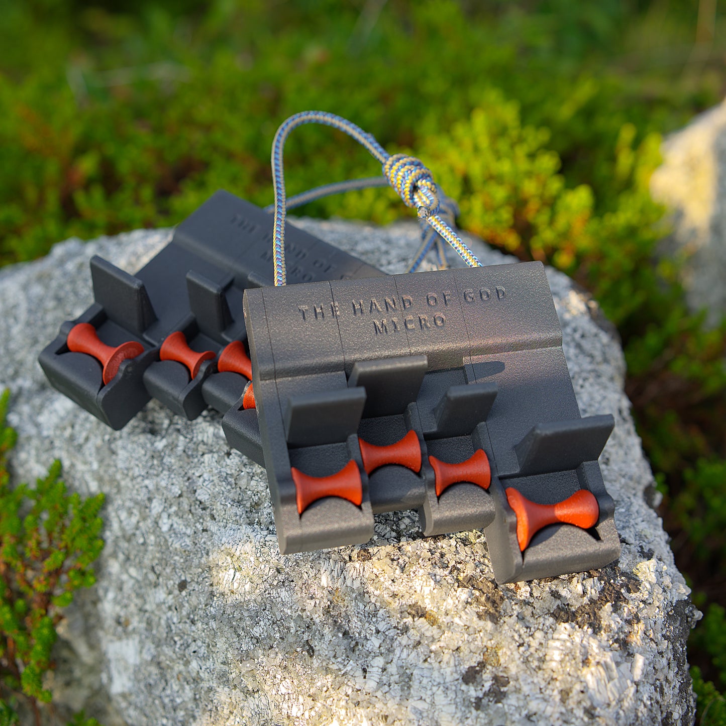 THE HAND OF GOD MICRO