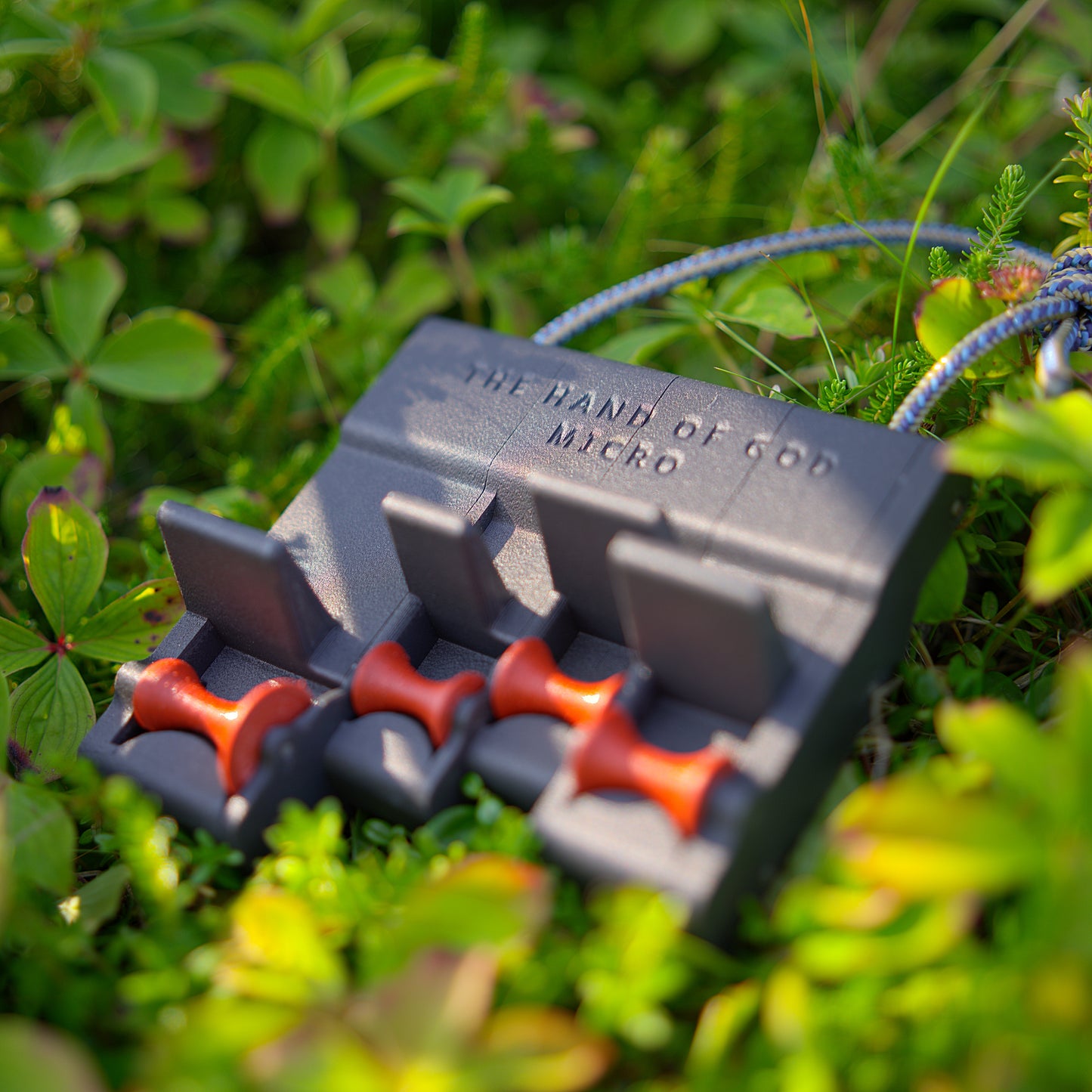 THE HAND OF GOD MICRO